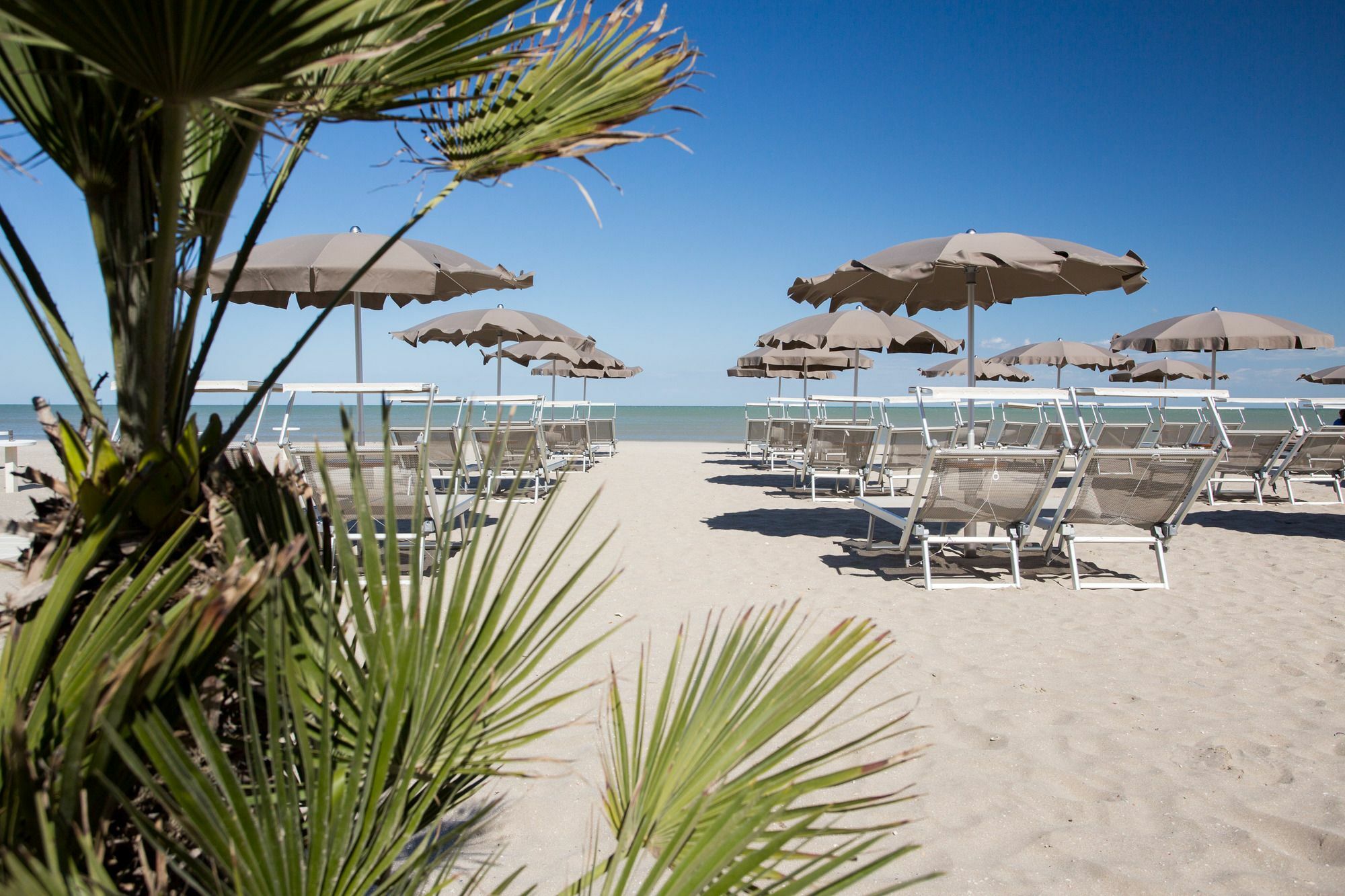 מילאנו מריטימה Hotel Solemare מראה חיצוני תמונה